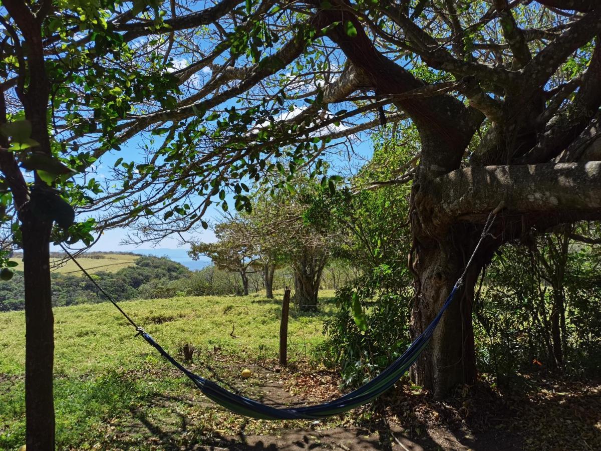 Campo Azul - Monteverde Dış mekan fotoğraf