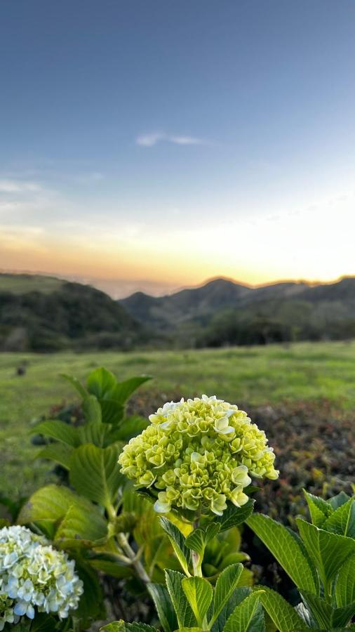 Campo Azul - Monteverde Dış mekan fotoğraf